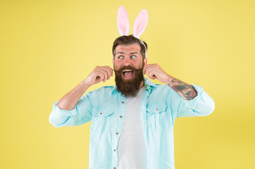 Having fun. Barber salon. Lucky guy. Man long rabbit ears. Bearded man Easter rabbit costume. Easter bunny or hare. Hipster dressed for Easter party. Easter bunny symbol of fertility and spring