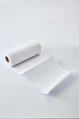 Toilet paper roll on white, Hygienic