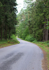 Fototapeta na wymiar Droga w lesie przez las, Polska.