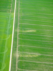Fields of the Rifle Range, Mere, Wiltshire