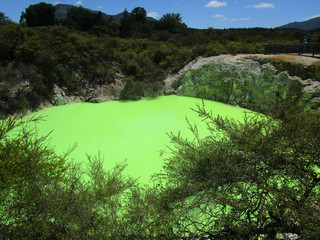 Devil's bath. The green sulphuric pool in Rotorua Geothermal Wonder at Wai-O-Tapu. New Zealand