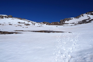 The mountain landscape with the slope covered by white snow, footprints, the clean blue sky.