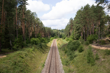 Tor kolejowy, prosty przez las, Polska.