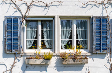 Fototapeta na wymiar Windows with blue shutters and plants
