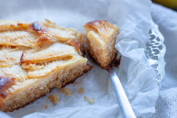 Close Up slice of delicious fresh baked rustic apple pie