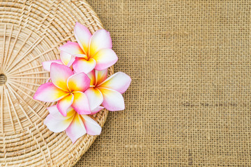 Obraz na płótnie Canvas Beautiful colorful Plumeria flower on rattan tray with space on hessian texture background