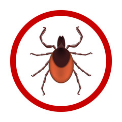 Mite parasites. vector illustration isolated on white background. Mite spider. Mite allergy. Mite epidemic.