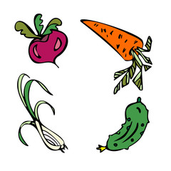 Set of vector illustrations. Vegetables: green onions, cucumber, carrots, beets. Hand drawn. Isolated on a white background.