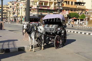  City of Luxor in Egypt © moniadk