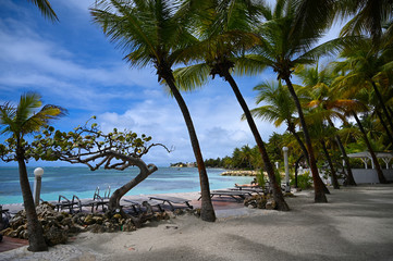 Plage de Guadeloupe