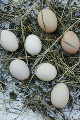 Set with fresh raw eggs