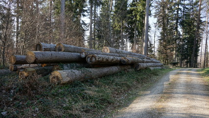 Baumstämme auf Haufen