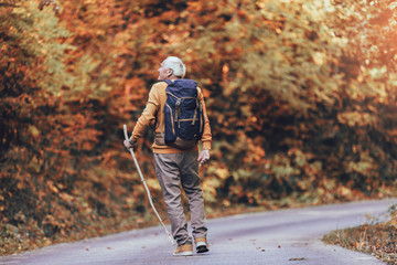 Senior male hiker walking with backpack in the wood