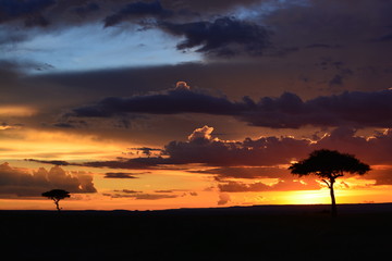 atardecer