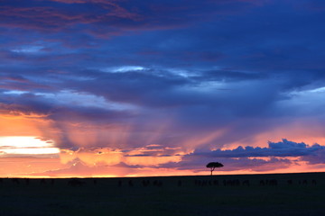 atardecer