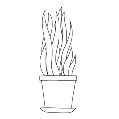 Indoor flowers in a pot in the style of Doodle.Contour hand drawing.Black and white image.Coloring.Vector illustration.