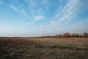 Fototapeta na wymiar Steppe landscape in spring