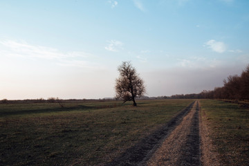 the dirt road goes off into the distance on a green field.