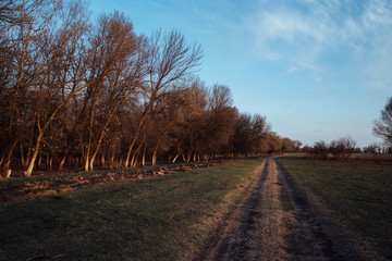 the dirt road goes off into the distance on a green field.