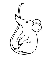 Hand drawing. The mouse rolls on its tail like on swing. Black Outline. Vector. Drawn in pencil, ink, felt-tip pen, marker on paper. Careless quick sketch. Comic cartoon style. Isolated on white. 