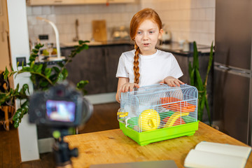 cute caucasian adorable child blogger show her domestic animal at camera, positive girl is video...