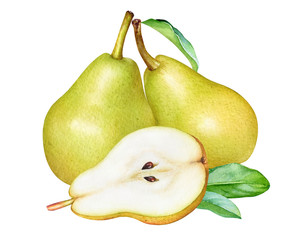 Fototapeta na wymiar Watercolor illustration of yellow pears with leaves