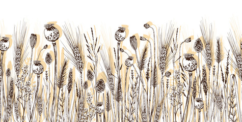Seamless horizontal background with wheat spikelets, poppy seed boxes and wild herbs.