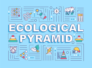 Fototapeta na wymiar Ecological pyramid word concepts banner. Biodiversity, producers and consumers. Infographics with linear icons on turquoise background. Isolated typography. Vector outline RGB color illustration