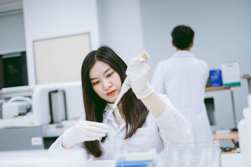 young medical scientist working in medical laboratory , young female scientist using auto pipette to transfer sample