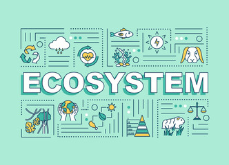 Ecosystem word concepts banner. Biodiversity, living organisms community. Infographics with linear icons on turquoise background. Isolated typography. Vector outline RGB color illustration