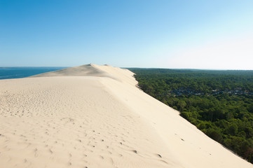 Fototapeta na wymiar Huge sand dunes between the ocean and the forest. West coast of France.