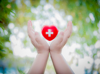 Hospital Health Care Love with Heart in Hand for Help and Donation concept