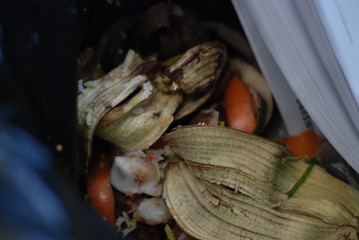 basura 