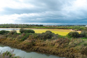 Fototapeta na wymiar Panoramic view of a Tavira salt pan in the Algarve, Portugal