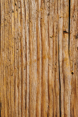 Beautiful wood texture. The natural texture. Organic texture. Natural background
