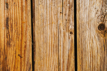 Beautiful wood texture. The natural texture. Organic texture. Natural background

