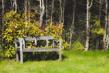 An old wooden bench on a park