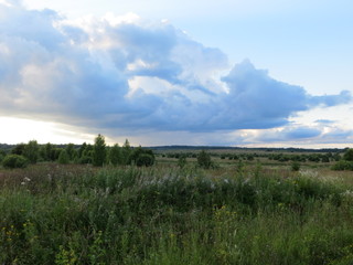 Obraz premium Landscape with a field and a big cloud