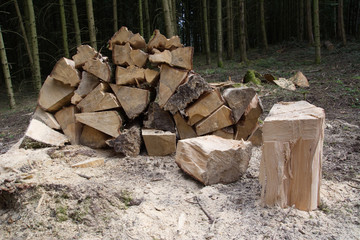 Chop and stack firewood for collection in the Black Forest