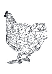 Chicken hen polygonal lines illustration. Abstract vector hen on the white background