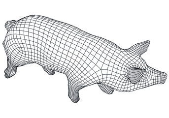 Pig polygonal lines illustration. Abstract vector pig on the white background