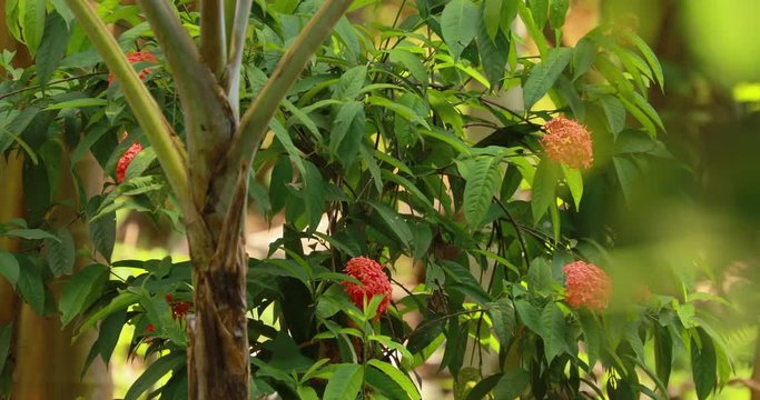 รูปภาพPonna เลือกดูภาพถ่ายสต็อก เวกเตอร์ และวิดีโอ225 Adobe Stock