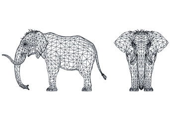 Naumann's Elephant polygonal lines illustration. Abstract vector elephant on the white background