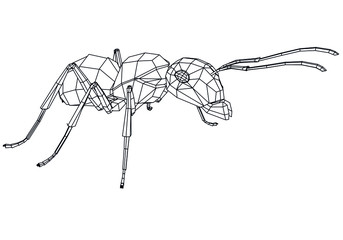 Vector illustration of a geometric polygonal ant. Abstract linear insect.