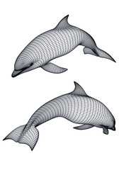 Dolphin polygonal lines illustration. Abstract vector dolphin on the white background