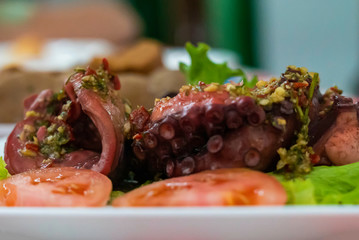 Closeup of boiled octopus with salad and tomatoes and mojo sauce. On a white plate. Tasty cousine in Garachico.