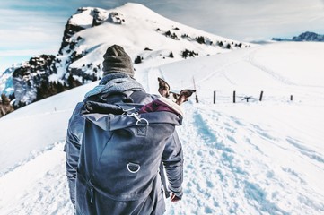 Fototapeta na wymiar Small winter walk with whippet, Switzerland