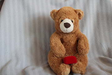 Teddy bear with gift ring