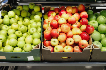 Boxes with ripe red and green apples on shelves