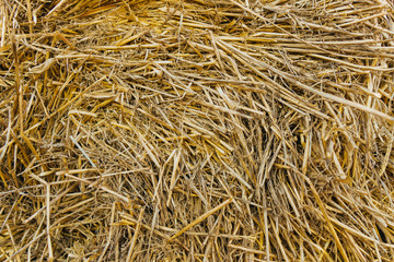 Beautiful texture of the straw. The natural texture. Organic texture. Natural background